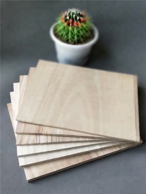 Tablas de Taekwondo quebradibles 225 * 300mm con servicio de logotipo personalizado