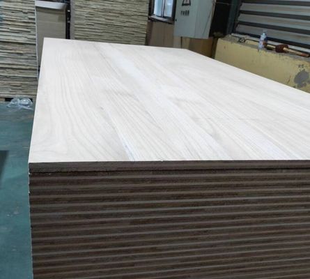 Panel de mesa de madera de paulownia certificado FSC en 2440x1220 o 1200x600 o tamaño personalizado