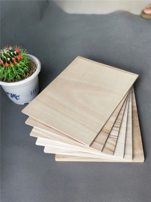 Tablas de entrenamiento de Taekwondo Unisex Color natural Impresión de logotipo personalizado
