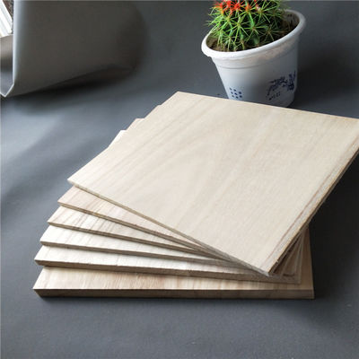 Tablas de entrenamiento de Taekwondo Unisex Color natural Impresión de logotipo personalizado