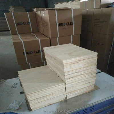 Tablas de arte marcial unisex ligeras para el rendimiento dentro del taekwondo