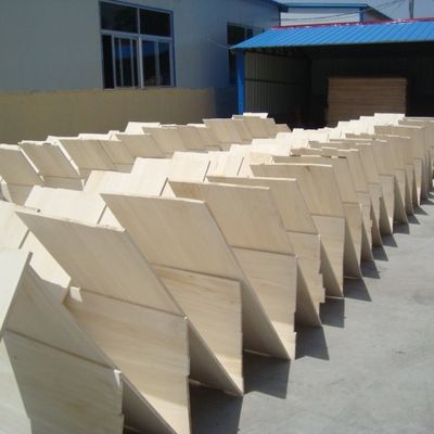 Paulownia de madera sólida para el diseño moderno
