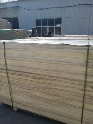 Panel de madera de álamo Tabla de madera sólida AA AB Duración de grado 100 mm-2440 mm Apoyo técnico en línea