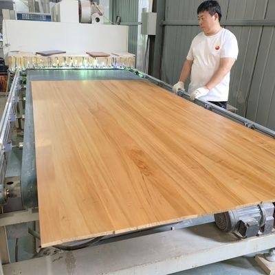 Tabla de madera de álamo carbonizada ancho 100-1220 mm con soporte técnico en línea
