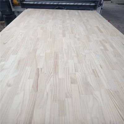 Finger Joint Board acabado y superficie limpia para el pino Paulownia y la madera de caucho de álamo