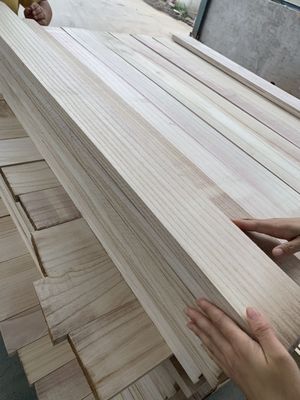 En el caso de las plantas de la familia de las plantas de la familia de las plantas de la familia de las plantas de la familia de las plantas de la familia de las plantas de la familia de las plantas de la familia de las plantas de la familia de las plantas de la familia de las plantas de la familia de las plantas de la familia de las plantas de la familia de las plantas de la familia de las plantas de la familia de las plantas de la familia de las plantas de las plantas de la familia de las pla