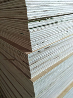 Tablero de madera de abeto contemporáneo con un contenido de humedad del 8 al 12% 1220*2440 mm